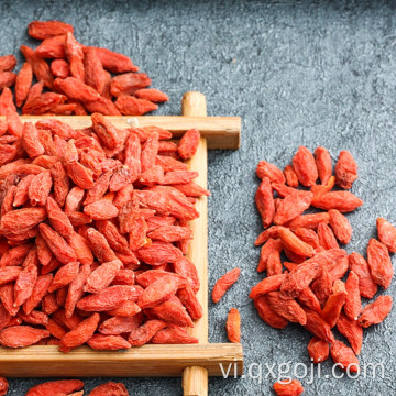 Chất lượng cao nhất Ningxia Chất lượng khô Goji Berry / Wolfberry